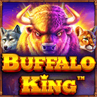 Buffalo King